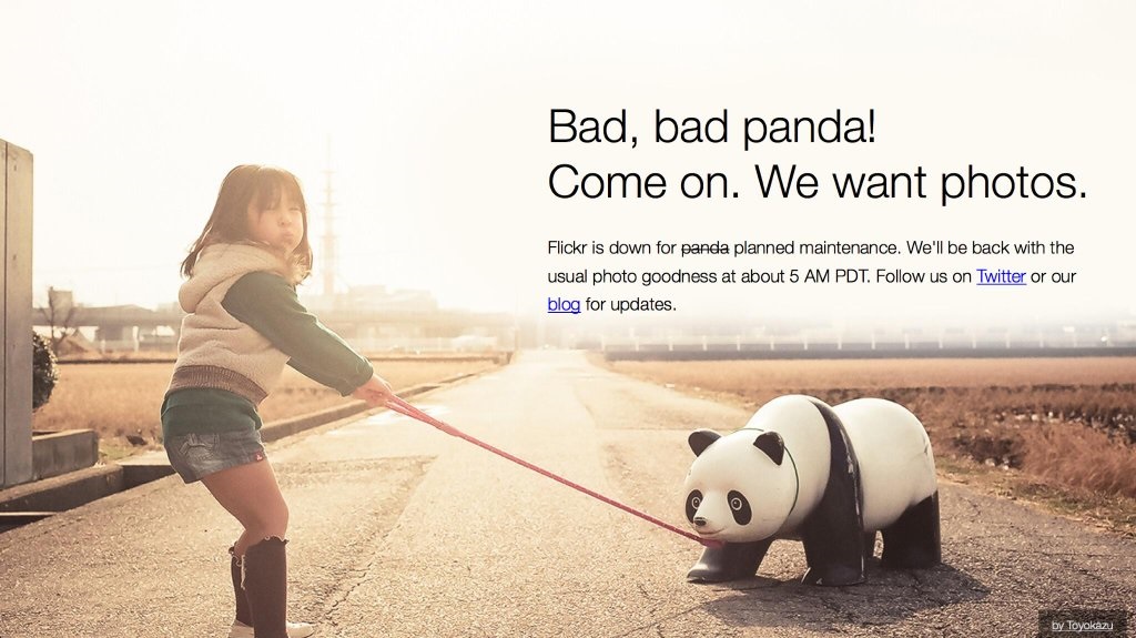 Flickr: Bad, bad panda
